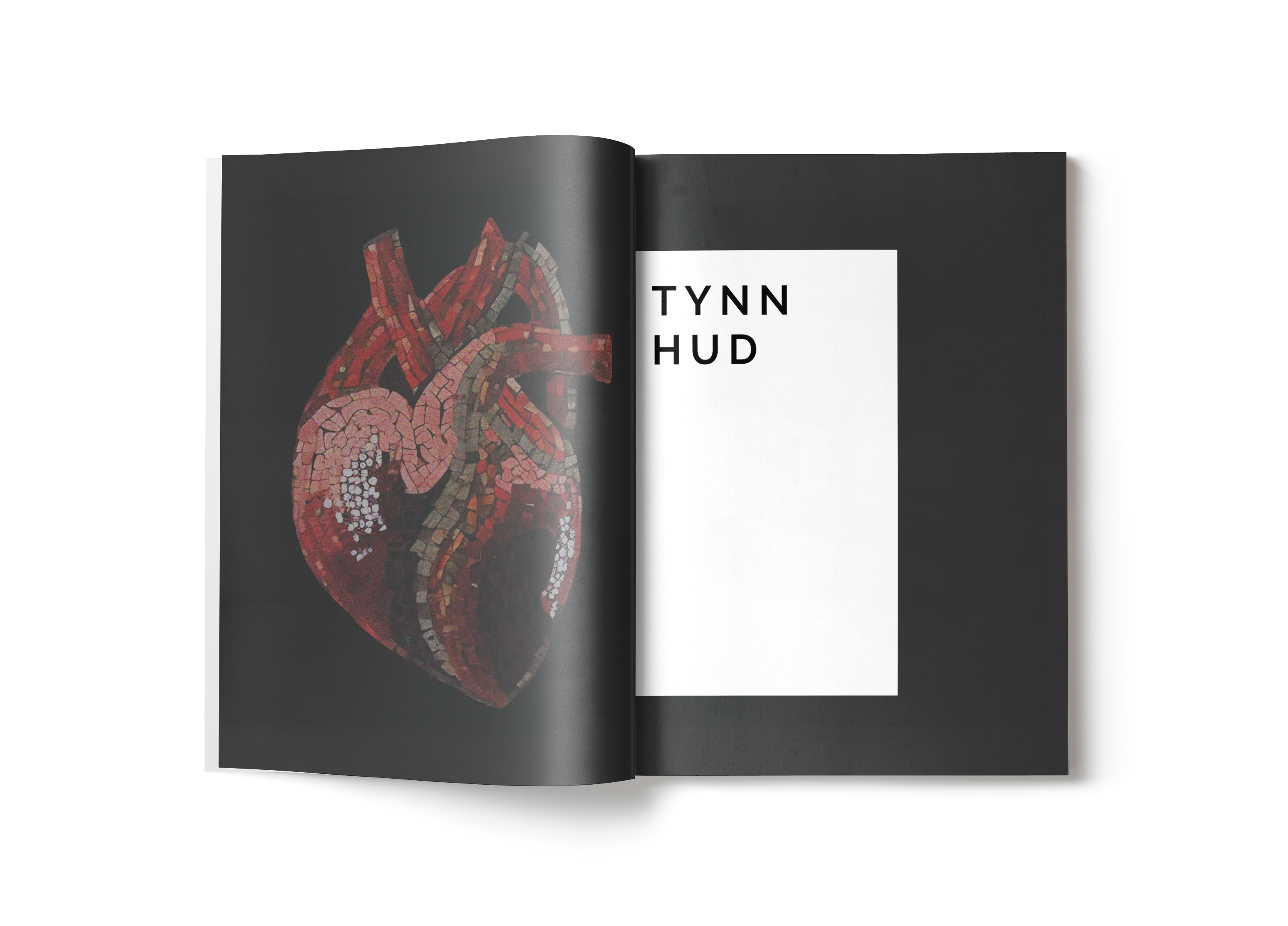J Jn Nolgr 14 Ferdig Magain i Mockup Ferdig Magain i Mockup